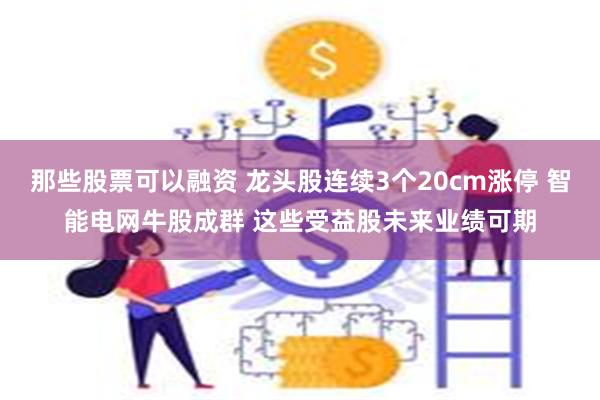 那些股票可以融资 龙头股连续3个20cm涨停 智能电网牛股成群 这些受益股未来业绩可期