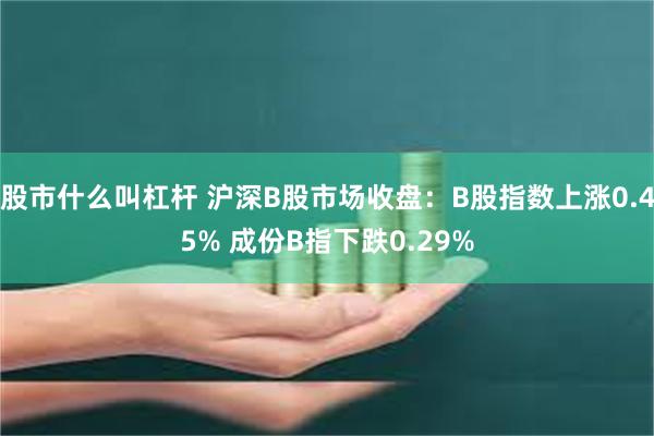 股市什么叫杠杆 沪深B股市场收盘：B股指数上涨0.45% 成份B指下跌0.29%