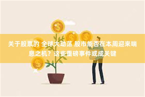 关于股票的 全球大动荡 股市能否在本周迎来喘息之机？这些重磅事件或成关键