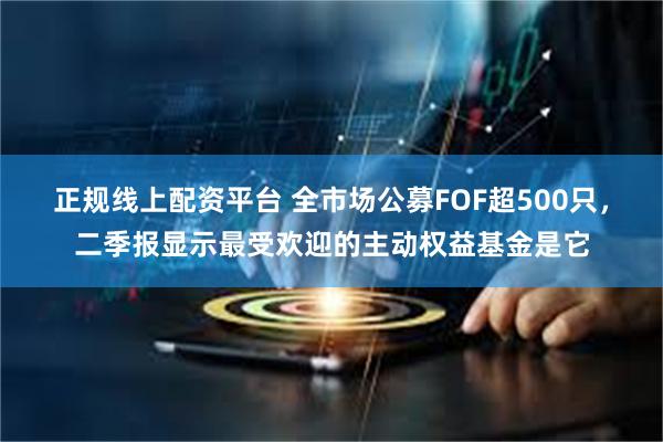 正规线上配资平台 全市场公募FOF超500只，二季报显示最受欢迎的主动权益基金是它