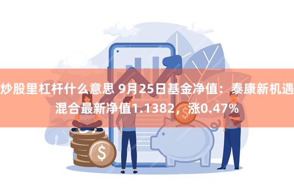 炒股里杠杆什么意思 9月25日基金净值：泰康新机遇混合最新净值1.1382，涨0.47%