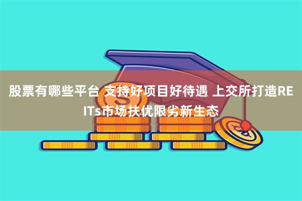 股票有哪些平台 支持好项目好待遇 上交所打造REITs市场扶优限劣新生态