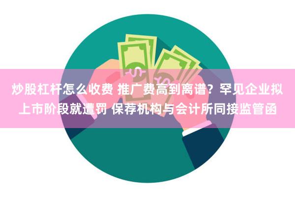 炒股杠杆怎么收费 推广费高到离谱？罕见企业拟上市阶段就遭罚 保荐机构与会计所同接监管函