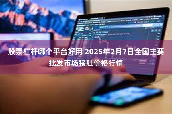 股票杠杆哪个平台好用 2025年2月7日全国主要批发市场猪肚价格行情